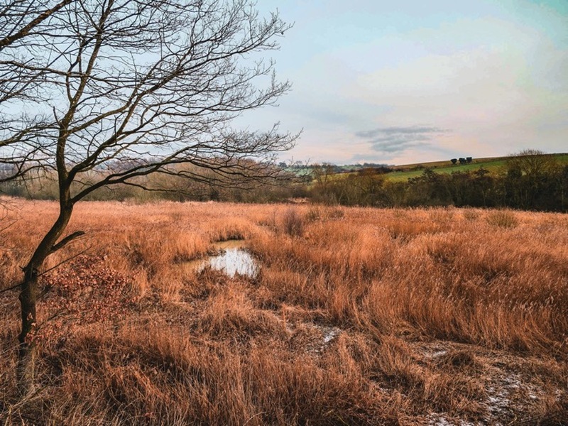 Other image for New generation of volunteers sought at award-winning nature reserve